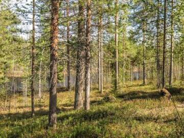 Фото номера Дом для отпуска Дома для отпуска Holiday Home Kulpakko 1 г. Tiainen 4