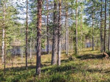Фото номера Дом для отпуска Дома для отпуска Holiday Home Kulpakko 2 г. Tiainen 14